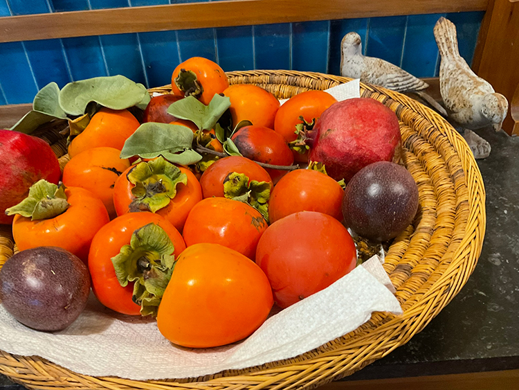 Persimmons & passion fruit