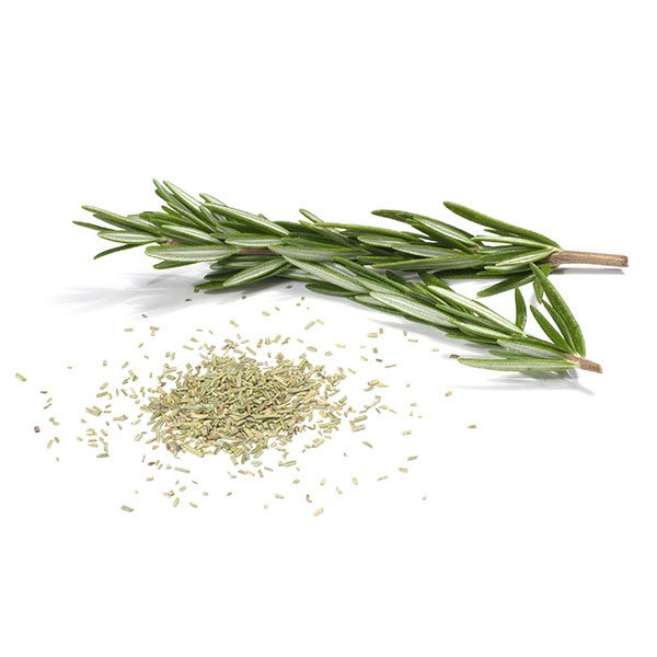 dried-rosemary