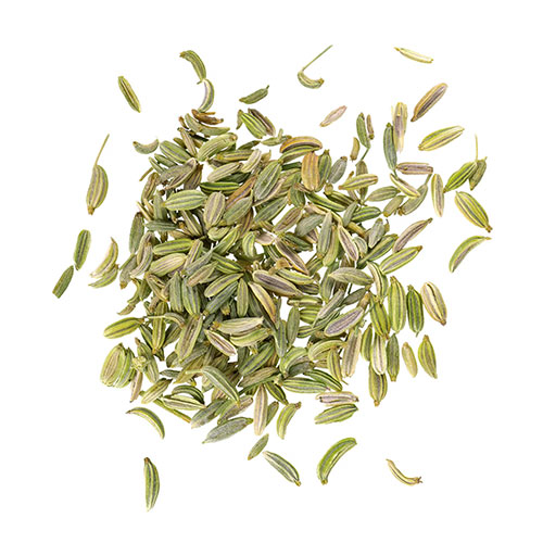 fennel