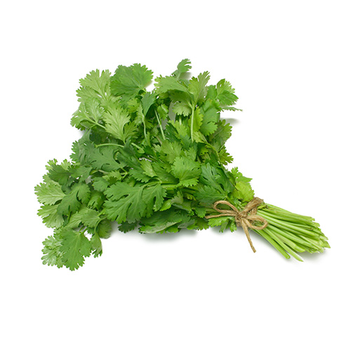 parsley_best